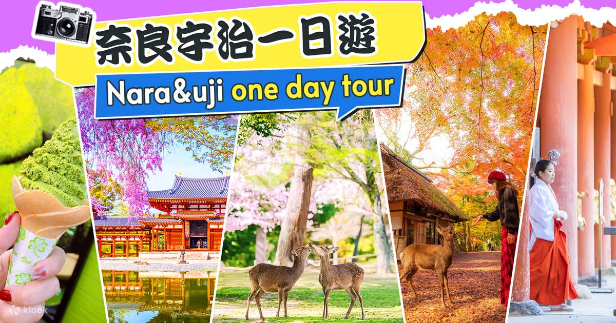 日本の美 第1集 ―源氏物語絵巻・平等院・室生寺(学習研究社編
